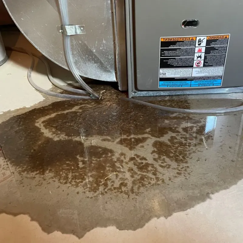 Pipe Burst and Leak Restoration in Fort Shawnee, OH