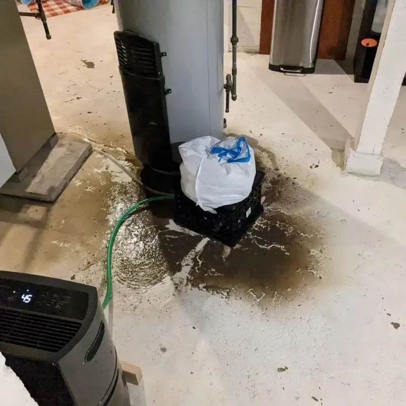 Sewage Backup Cleanup Service in Fort Shawnee, OH